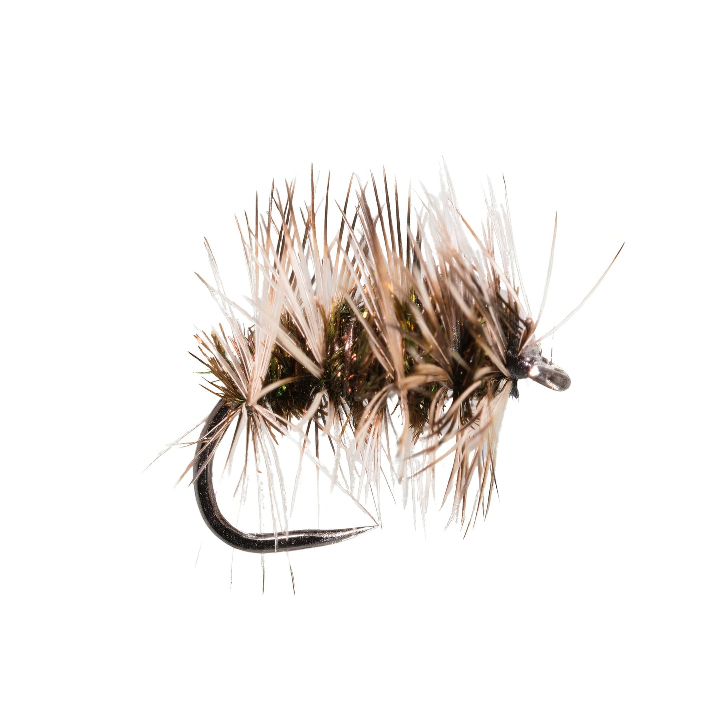 Griffiths Gnat