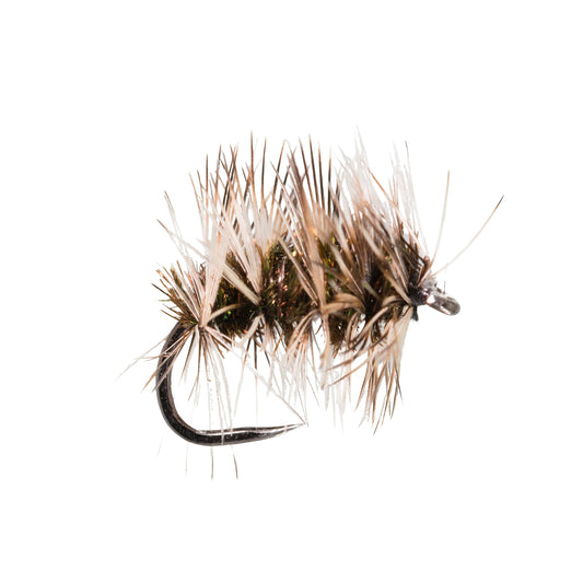Griffiths Gnat
