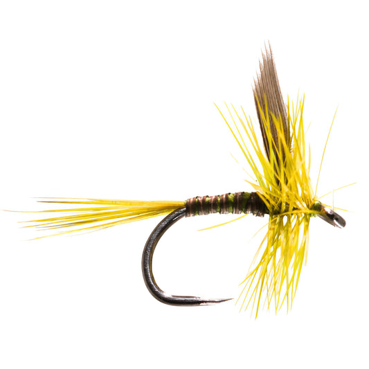 Large Dark Olive Olive Dun Barbless