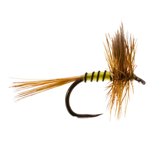 Greenwells Glory 2  Size 14