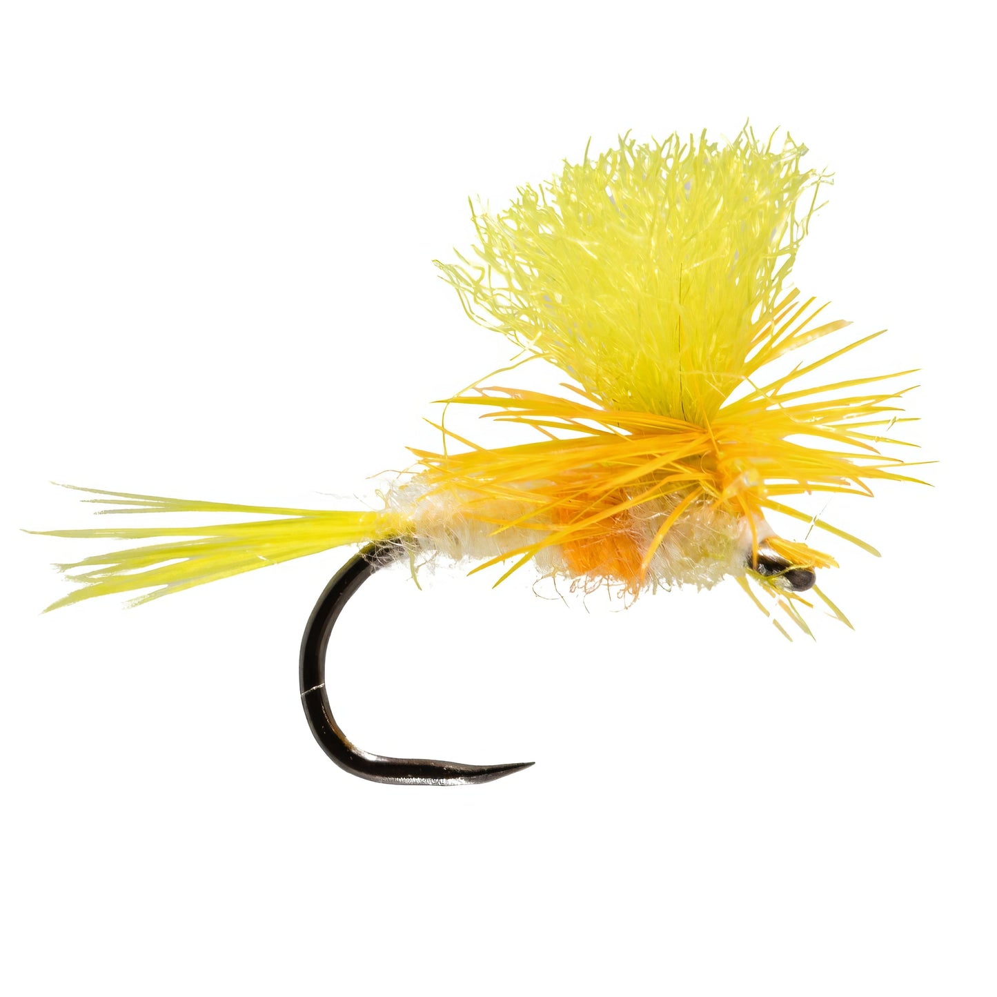 Parachute Yellow May