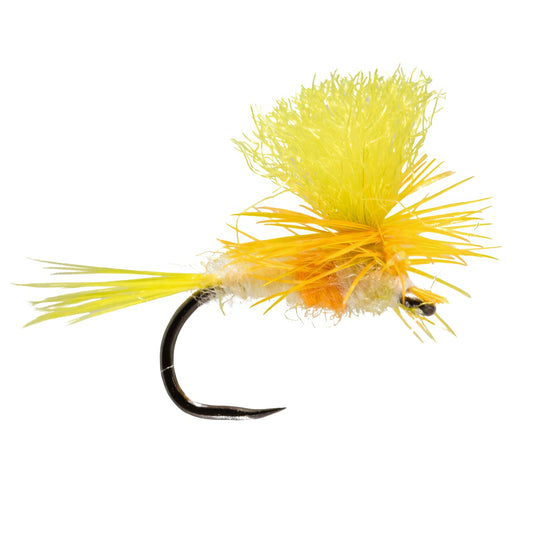 Parachute Yellow May
