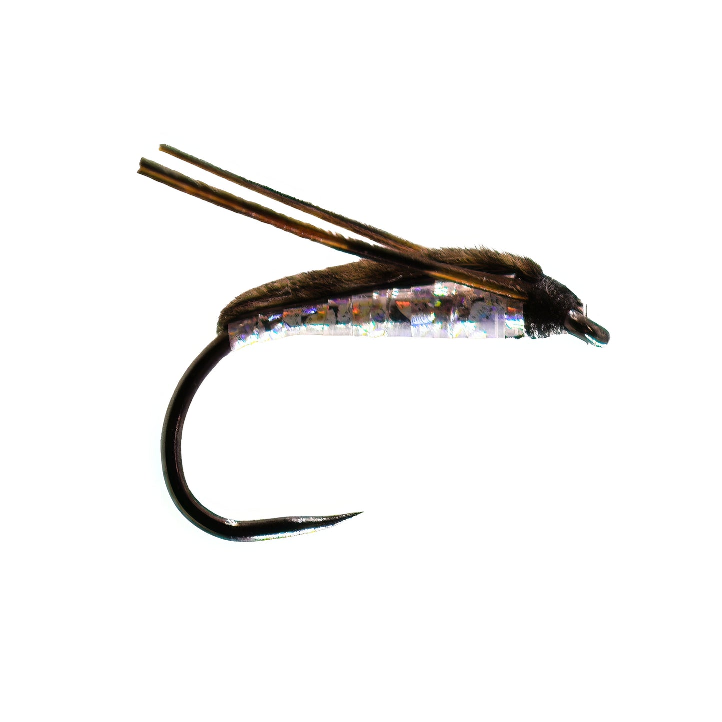 Silver Corixa Barbless