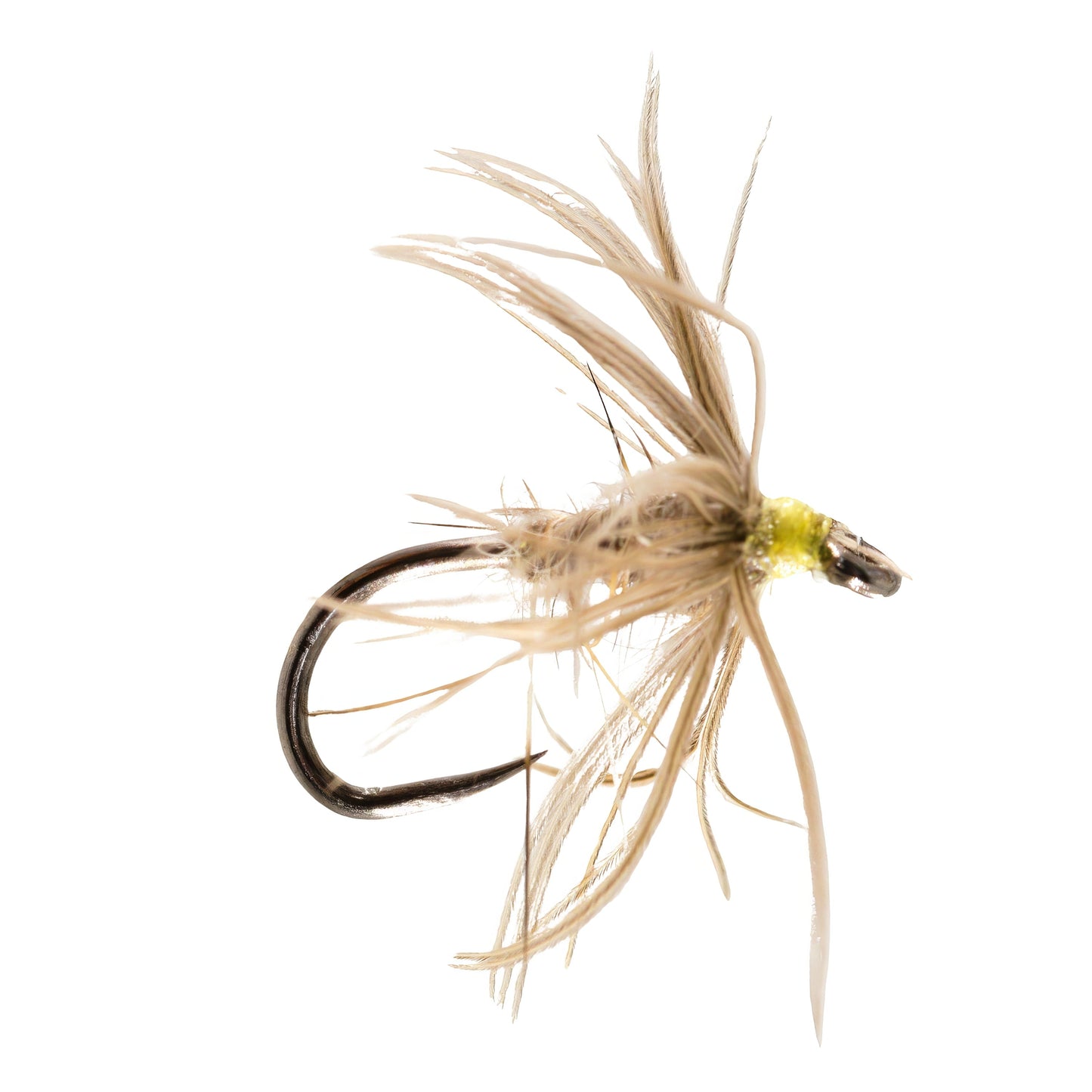 Waterhen Bloa Barbless