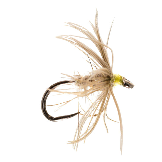 Waterhen Bloa Barbless